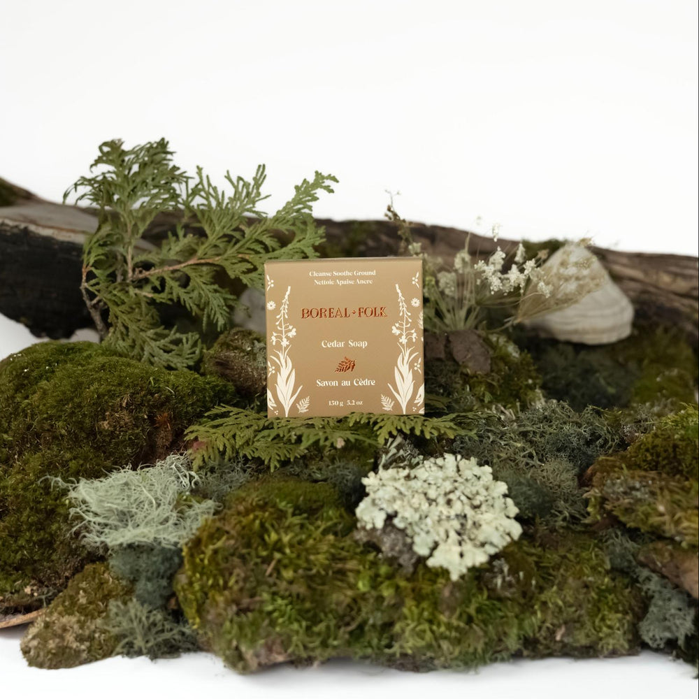 Cedar Soap