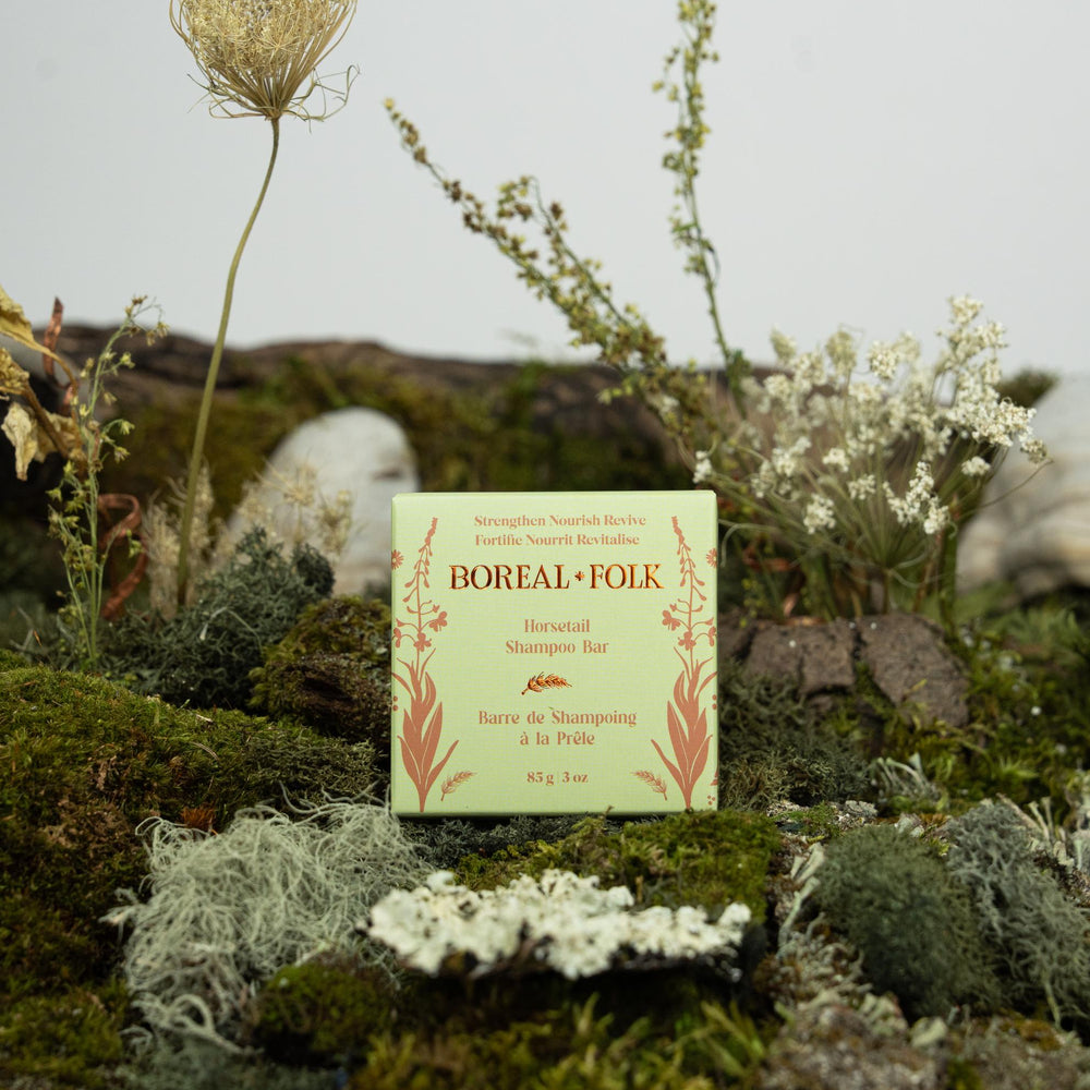 Horsetail Shampoo Bar