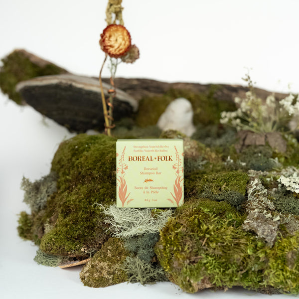 Horsetail Shampoo Bar