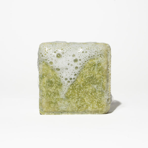Horsetail Shampoo Bar