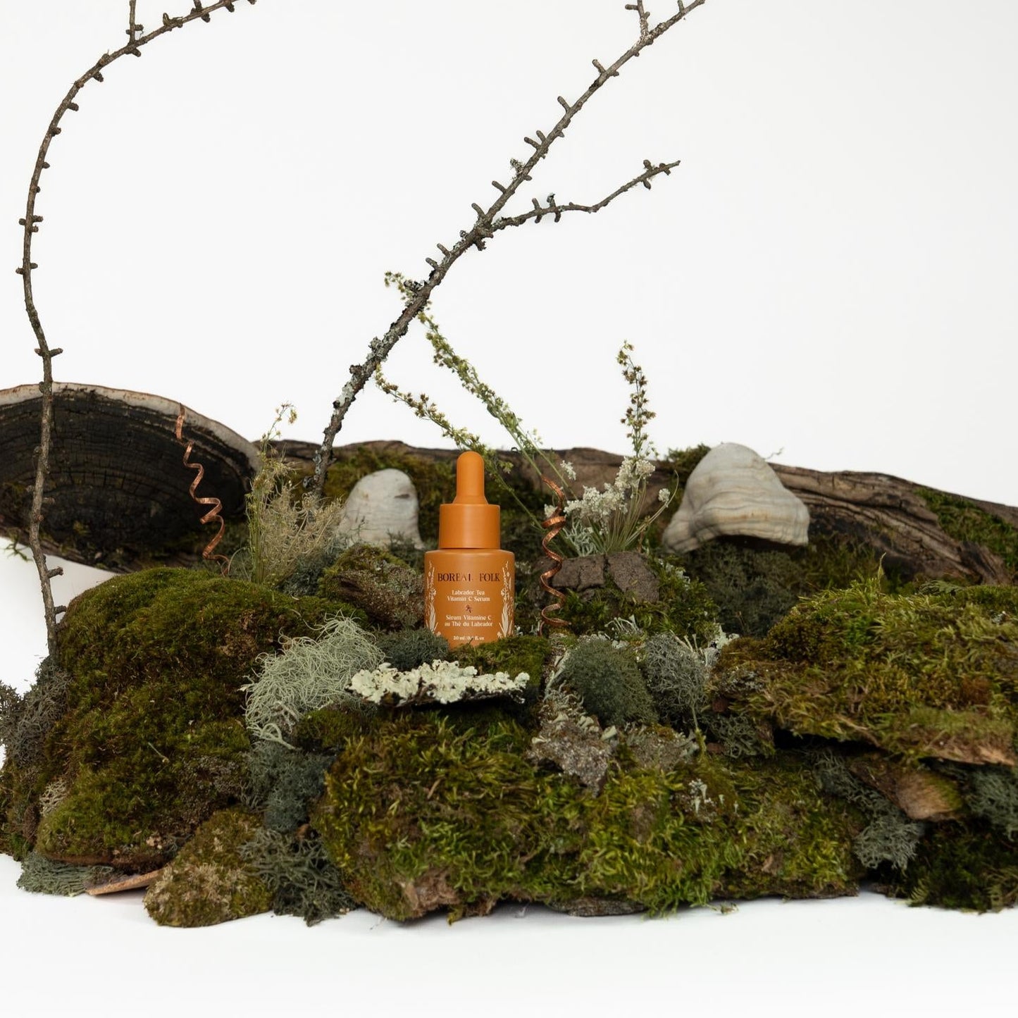 Labrador Tea Vitamin C Serum