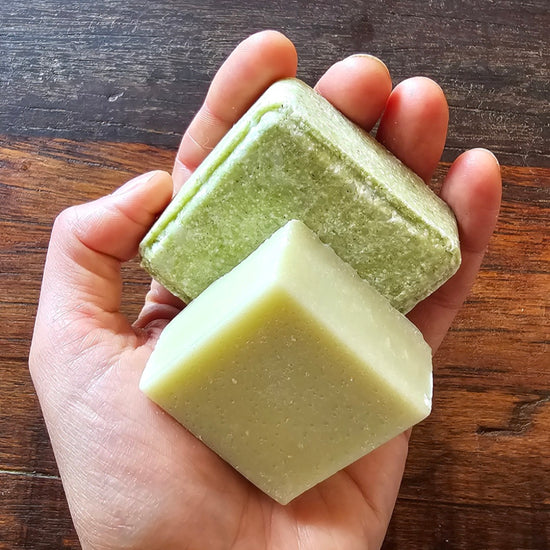 Horsetail Shampoo Bar