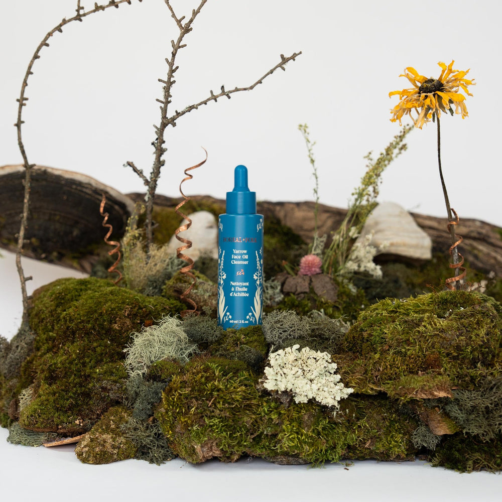 Yarrow Face Oil & Cleanser