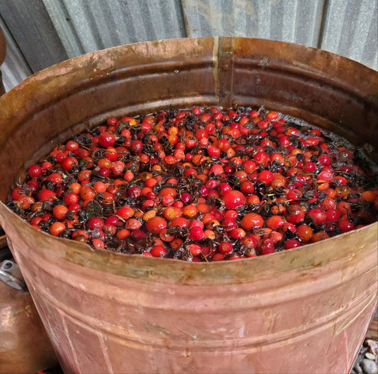 Rosehip Toner