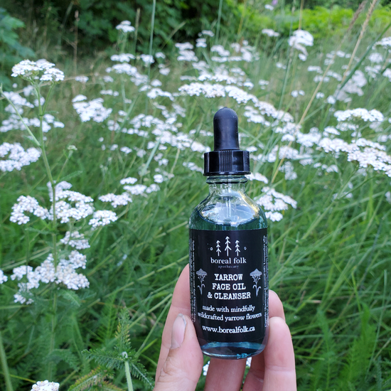 Load image into Gallery viewer, Yarrow Face Oil &amp;amp; Cleanser
